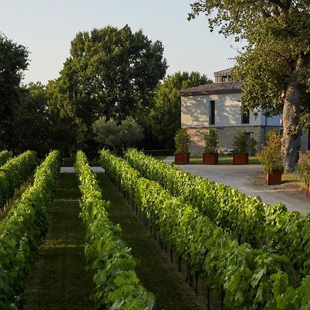 Borgo San Gregorio Villa Sorbo Serpico Kültér fotó