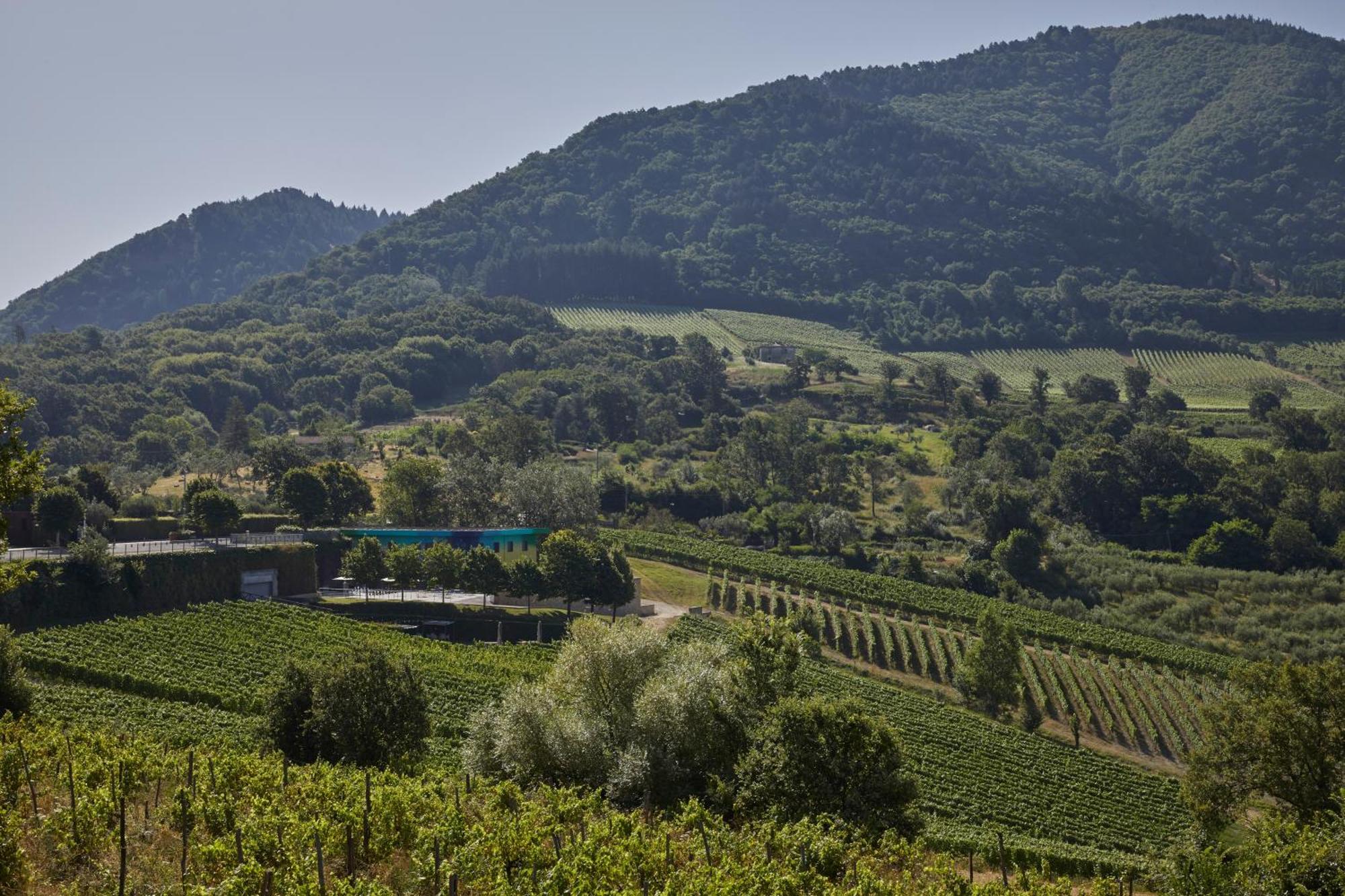 Borgo San Gregorio Villa Sorbo Serpico Kültér fotó