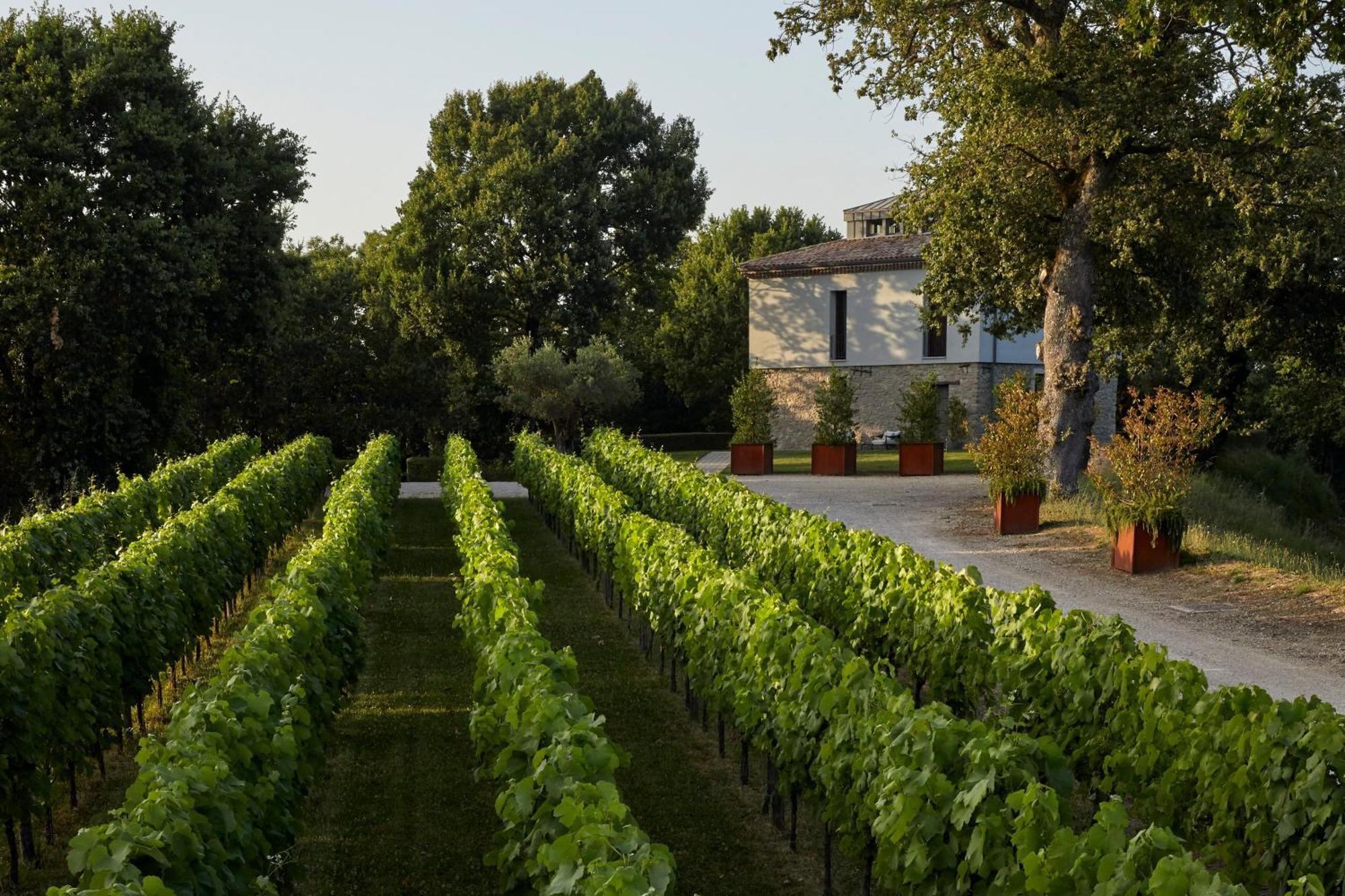 Borgo San Gregorio Villa Sorbo Serpico Kültér fotó